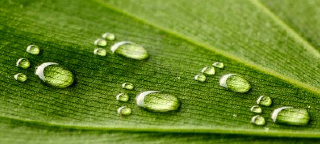 O caminho para o sucesso faz-se na companhia de outros